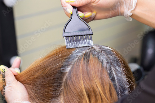gray hair. Application of hair dye to regrown gray hair roots. beauty salon