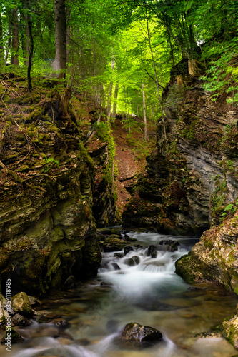 idyllic small mountain stream in a deep ad narrow gorge in lush green springtime forest