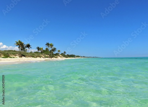 Caribbean beach with palm trees in Cuba © Saule