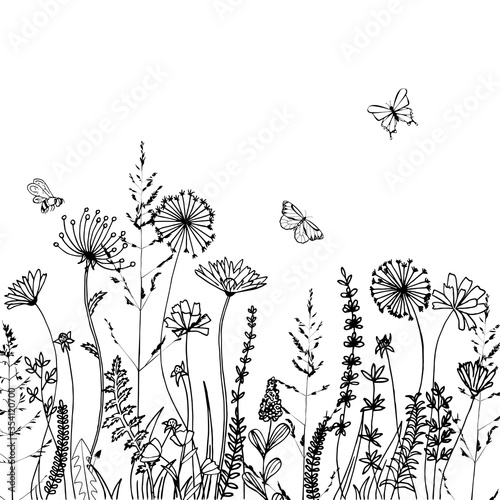 Black silhouettes of grass, spikes and herbs isolated on white background. Hand drawn sketch flowers and bees. Coloring book page design, elements for home decor and textile.