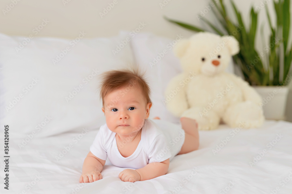 Newborn baby girl resting in bed. Family morning at home. Infant lies on his stomach in bed with a teddy bear Newborn baby girl resting in bed. Family morning at home. Infant lies on his stomach in bed with a teddy bear