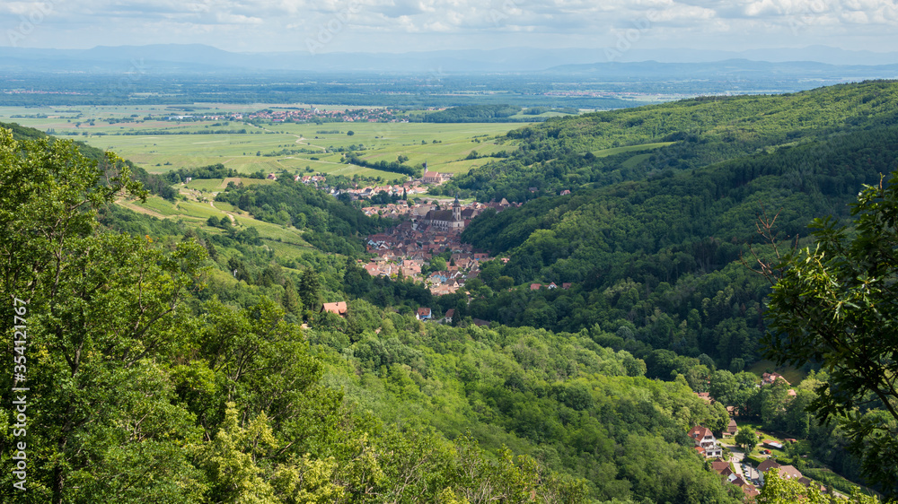 Rural Panorama in Andlau in France