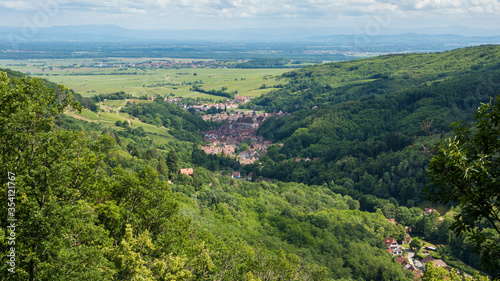 Rural Panorama in Andlau in France