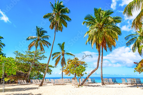 Fototapeta Naklejka Na Ścianę i Meble -  Beautiful Cayo Levantado island beach with palms. Samana, Dominican Republic. Vacation travel background