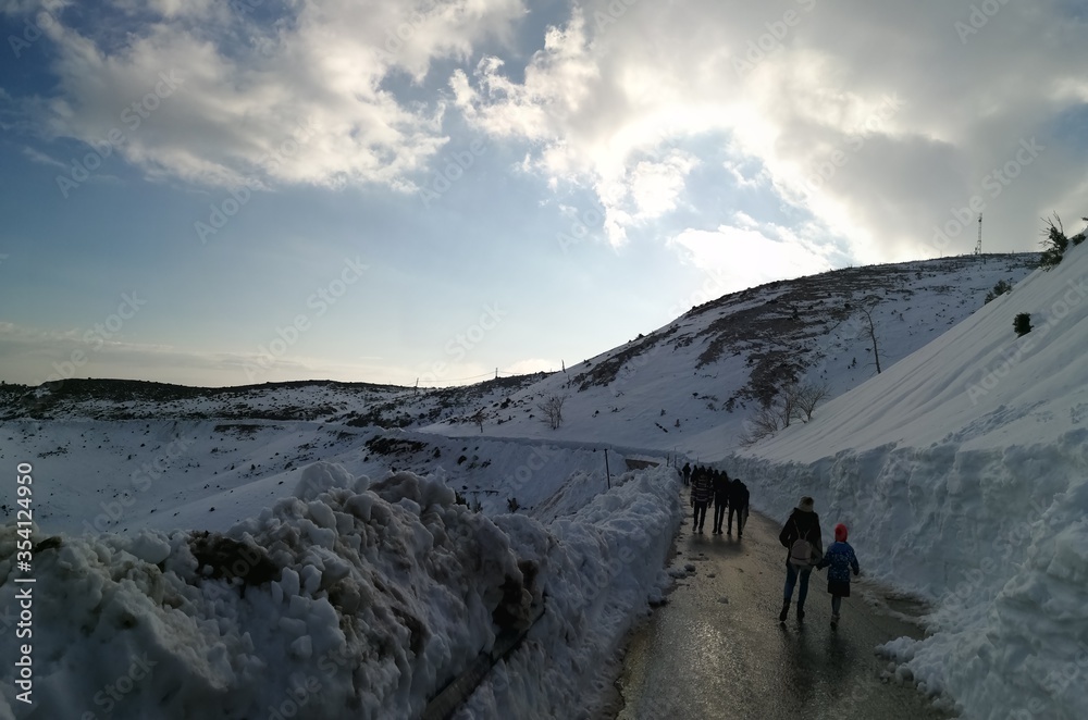 winter landscape in the mountains