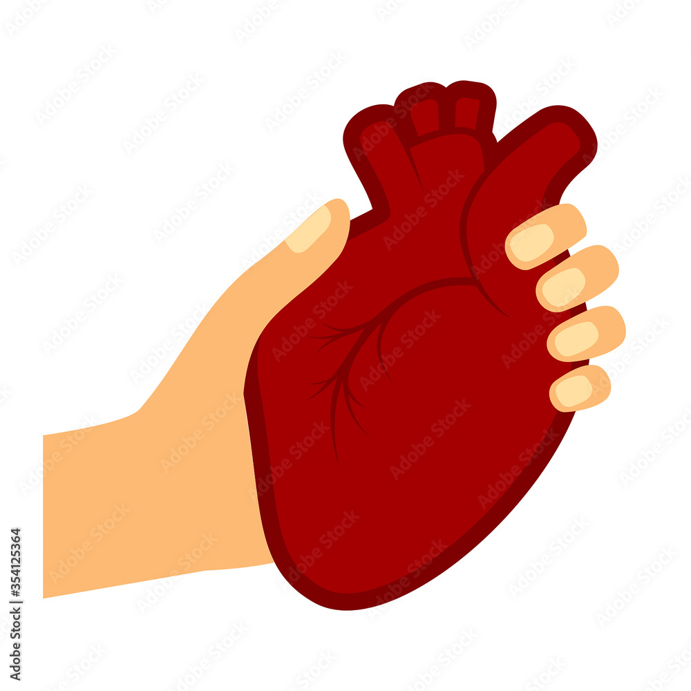 Woman hand holding human heart vector illustration. Woman hand holding human heart vector illustration.