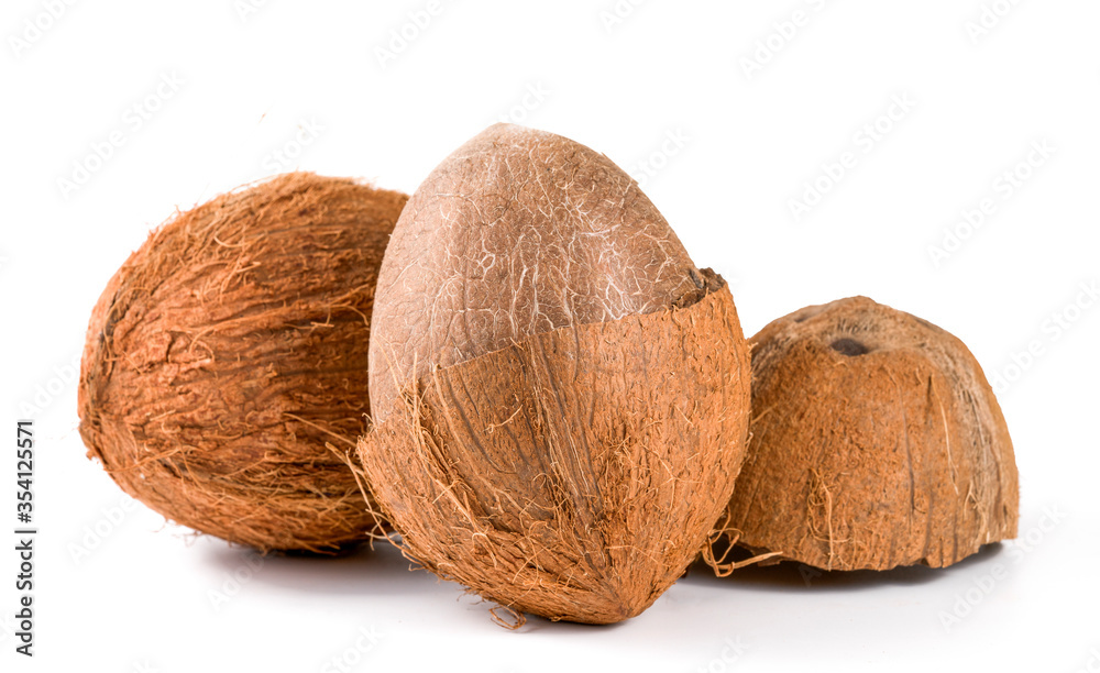 coconuts on a white background coconuts on a white background