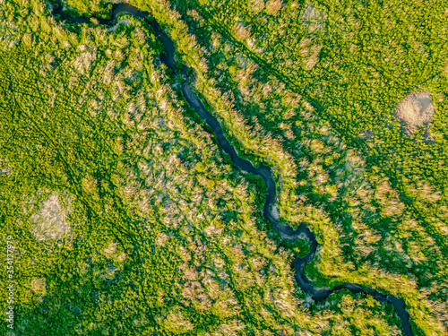 aerial view of a forest with meandering river