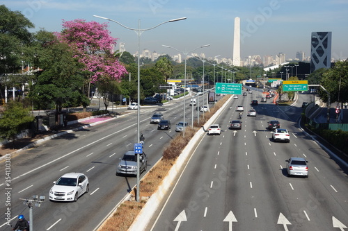 Sao Paulo/Brazil: streetview, avenue, obelisk, cityscape