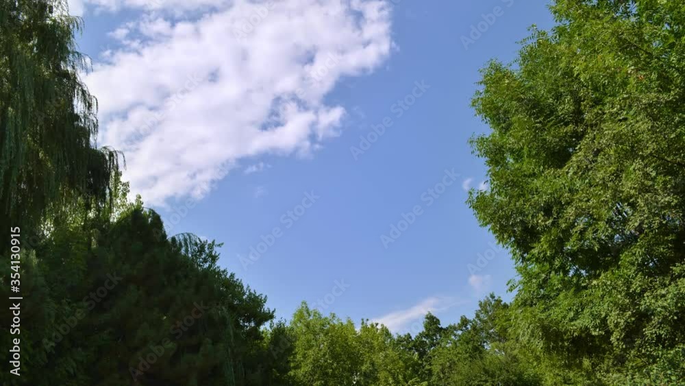 Forest clouds timelapse. Mountains. Armenia Forest clouds timelapse. Mountains. Armenia