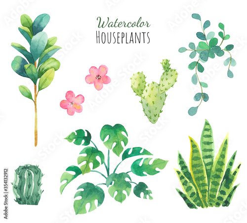 Set houseplants painted in watercolor. Cactus and tropical plants. Fresh elements isolated on a white background