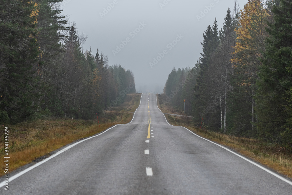 road in the forest in Finland