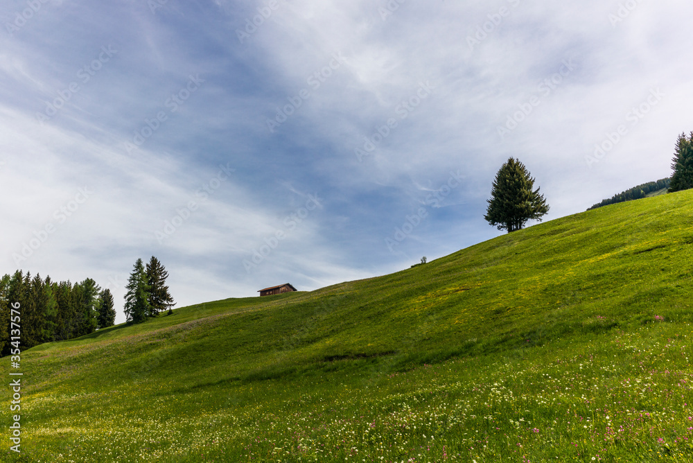 Old log stable on the alpine meadows covered in green grass and colorful flowers in Switzerland during spring Old log stable on the alpine meadows covered in green grass and colorful flowers in Switzerland during spring