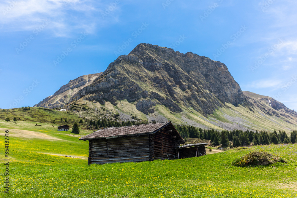 Old log stable on the alpine meadows covered in green grass and colorful flowers in Switzerland during spring Old log stable on the alpine meadows covered in green grass and colorful flowers in Switzerland during spring