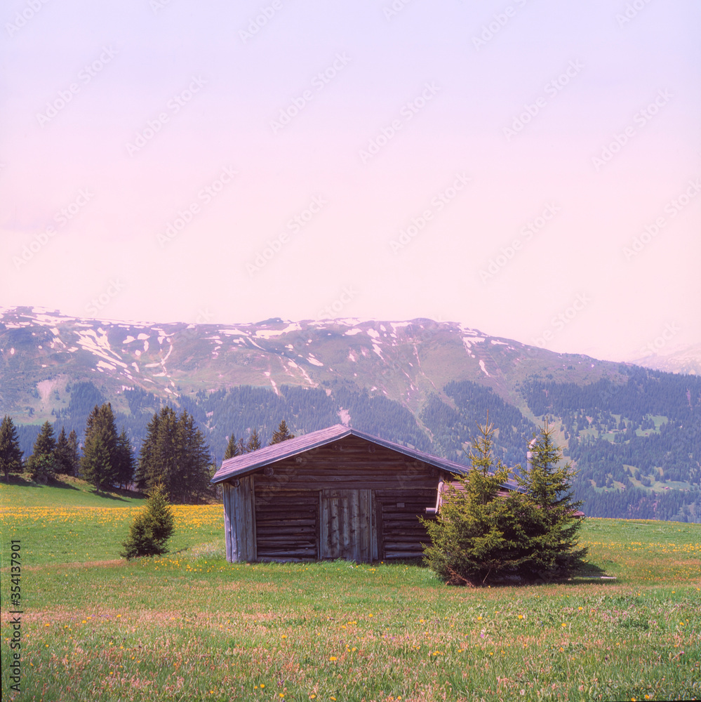 Old log stable on the alpine meadows covered in green grass and colorful flowers in Switzerland during spring, shot with analogue film slide technique