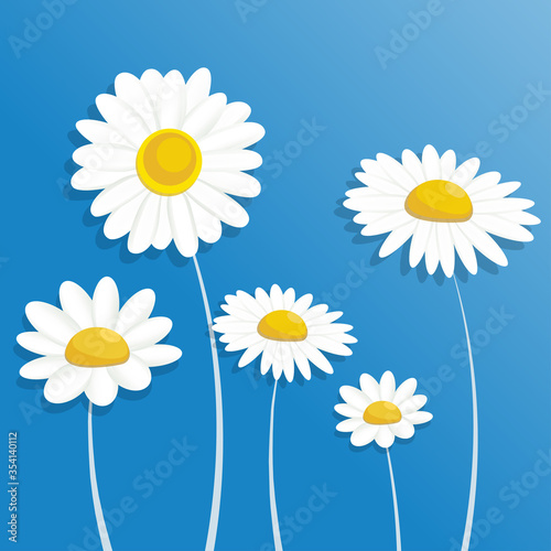  White Flowers cut out of paper. Chamomile. Daisies on white background.