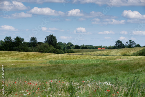 Fototapeta Naklejka Na Ścianę i Meble -  Mazury Garbate 24