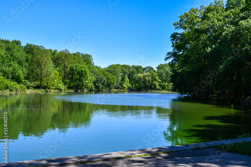 Landscape of pond with trees and wildlife