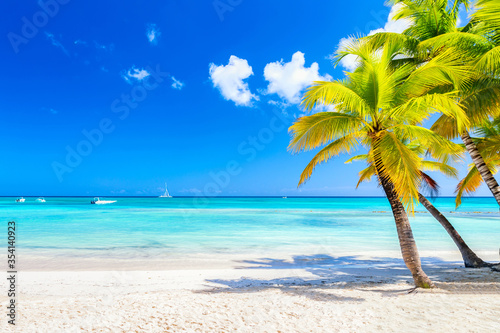 Fototapeta Naklejka Na Ścianę i Meble -  Palm trees on the caribbean tropical beach. Saona Island, Dominican Republic. Vacation travel background