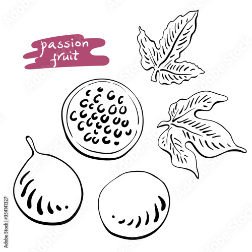 Passion fruit. Whole, half, leaves. Black line sketch collection of tropical fruits isolated on white background. Doodle hand drawn fruit icons. Vector illustration