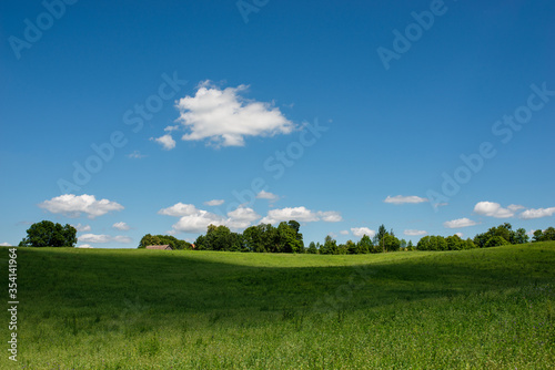 Fototapeta Naklejka Na Ścianę i Meble -  Mazury Garbate 27