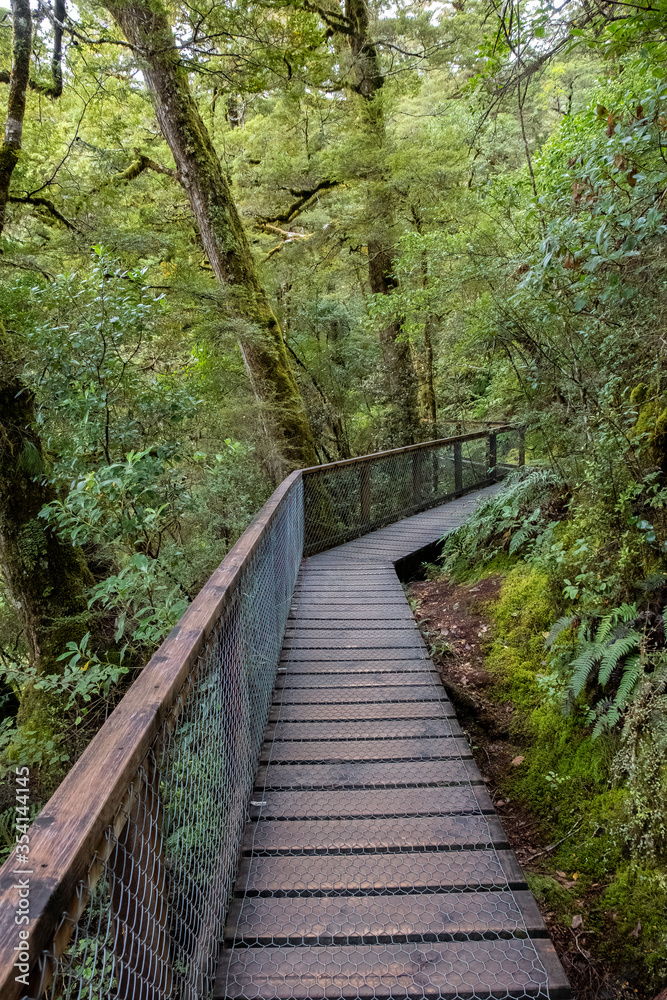 Obraz premium Boardwalk Trail at Blue Pools, South Island, New Zealand