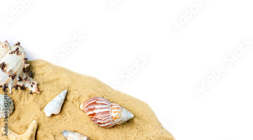 Beach sand with sea shells and star on white background.Copy space for text.Vacation memories