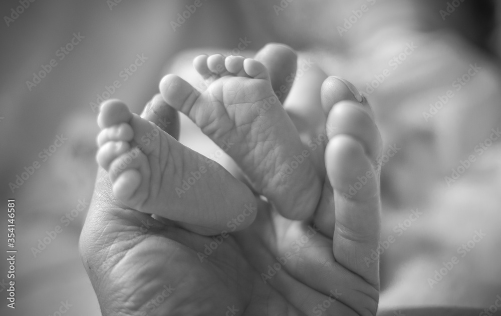 baby feet in a hand