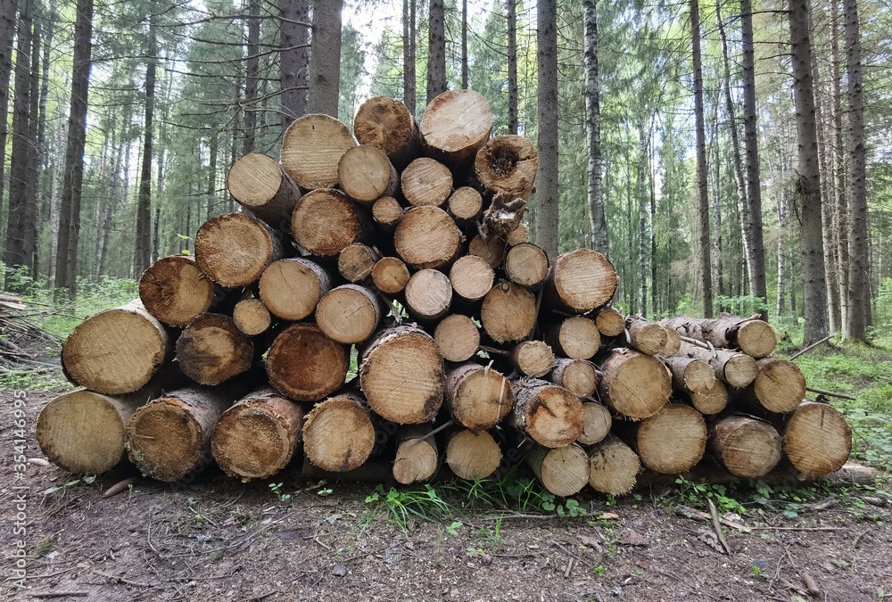 Pile of cut timber background