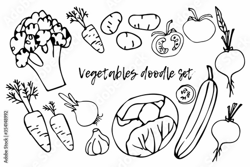 Farmers market vegetables set. Cartoon background. Healthy food Vector doodle illustration. For web site, store or farmer's market decoration. Flat icons carrot, onion, tomato, beet, cucumber, cabbage