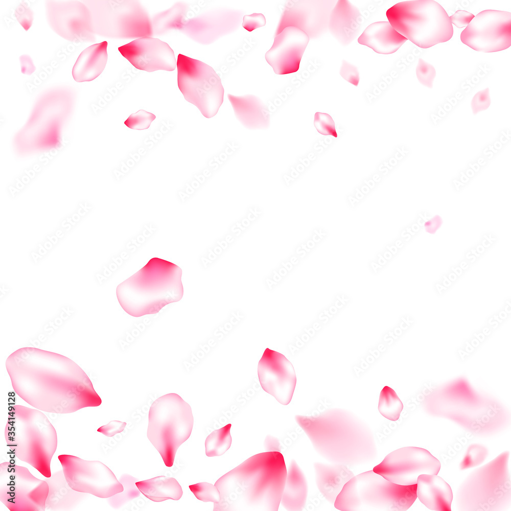 Spring blossom isolated petals flying Spring blossom isolated petals flying