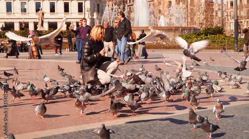 wild pigeons fed by a young woman