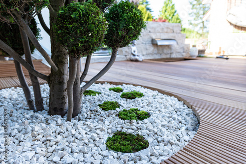 Moss as an ornamental element in landscaping and garden design photo