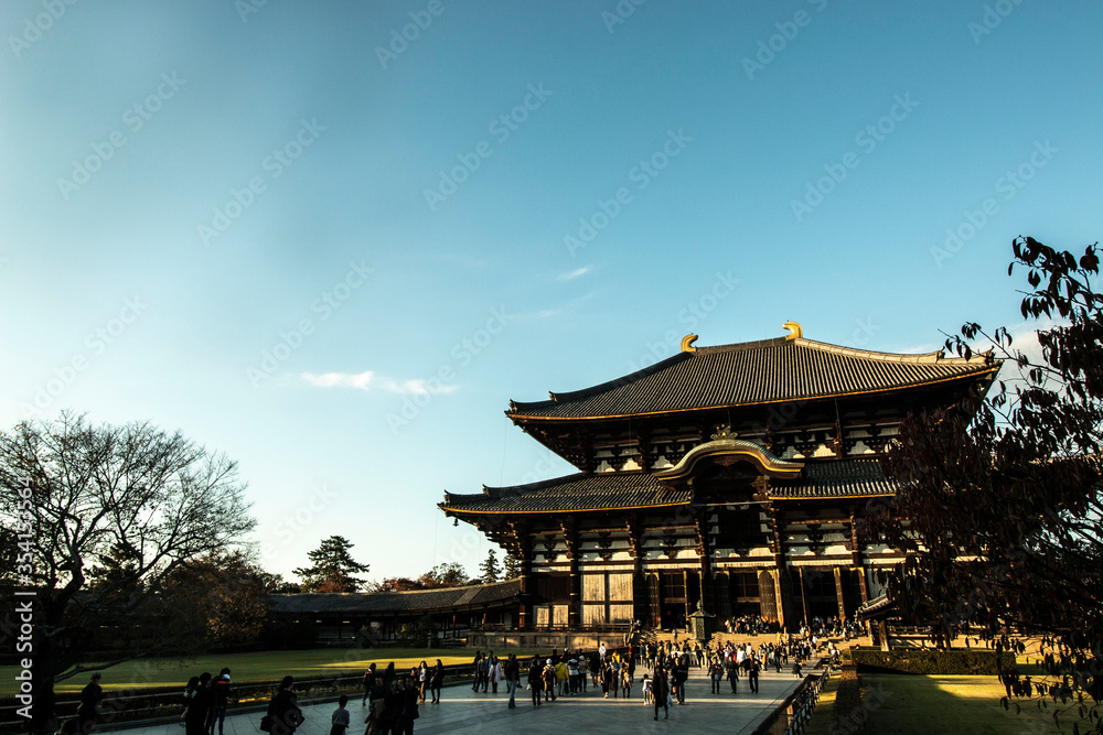 Fototapeta premium japanese temple
