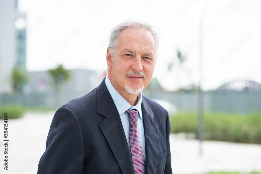 Portrait of a senior confident businessman Portrait of a senior confident businessman