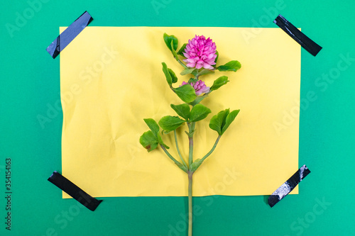 Unusual greeting card. Crea...