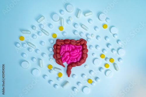 Human intestine surrounded ...