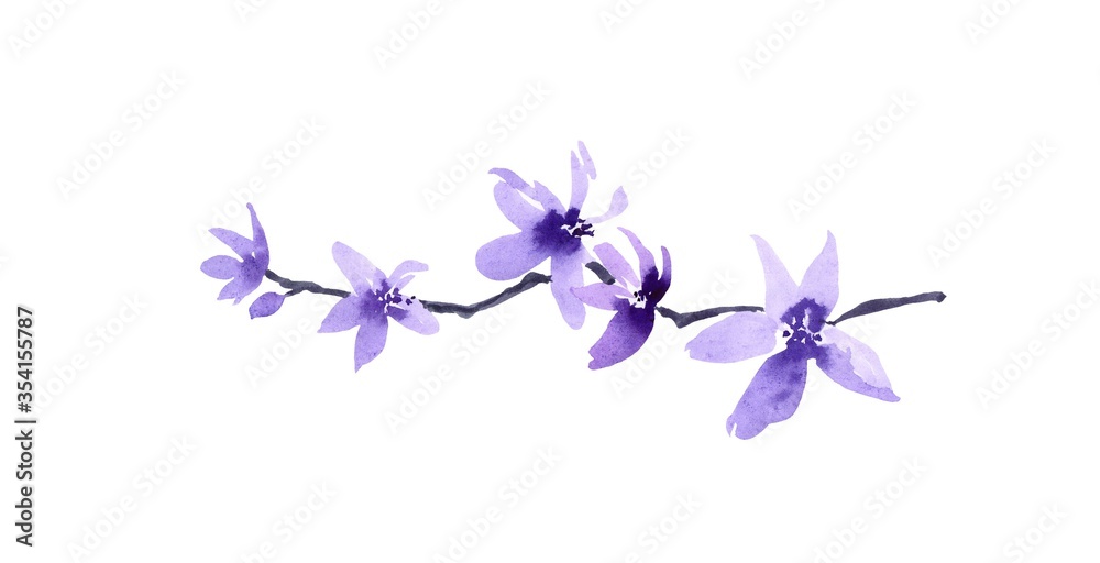 Blossom tree branch, beautiful watercolor painting illustration. Hand drawn spring flowers isolated on white background. Aquarelle art design element Blossom tree branch, beautiful watercolor painting illustration. Hand drawn spring flowers isolated on white background. Aquarelle art design element