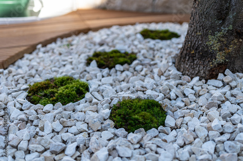 Cuadro en lienzo Moss as an ornamental element in landscaping and garden design