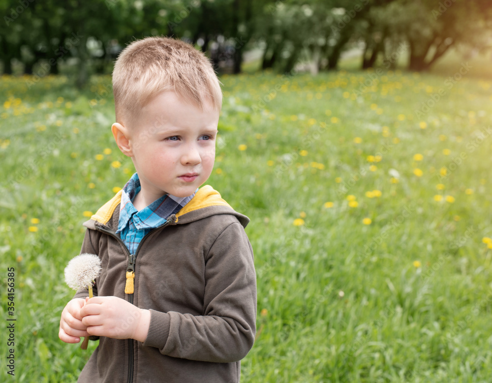 Cute boy with blond hair on a walk. A boy with a dandelion in his hands. Cute boy with blond hair on a walk. A boy with a dandelion in his hands.