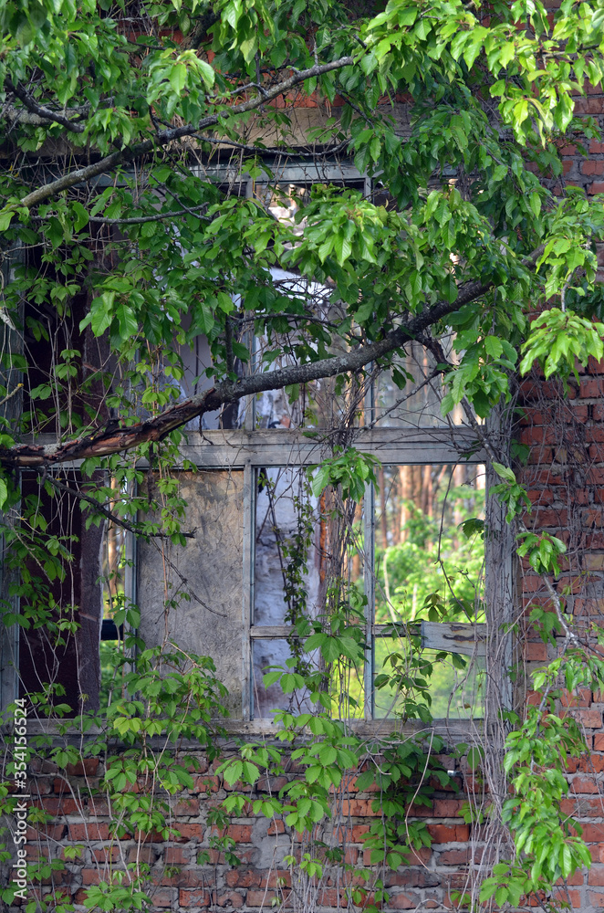 Ghost town in Eastern Europe.Former Soviet kids camp.Ukraine gets rid of the consequences of communism. Ruins. Kiev Region,Ukraine Ghost town in Eastern Europe.Former Soviet kids camp.Ukraine gets rid of the consequences of communism. Ruins. Kiev Region,Ukraine