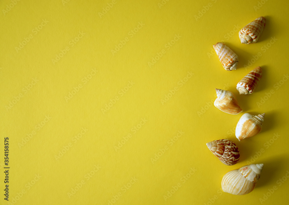Summer background with seashells on yellow background in minimal style. Concept of summer, travel, vacations. Top view, copy space.