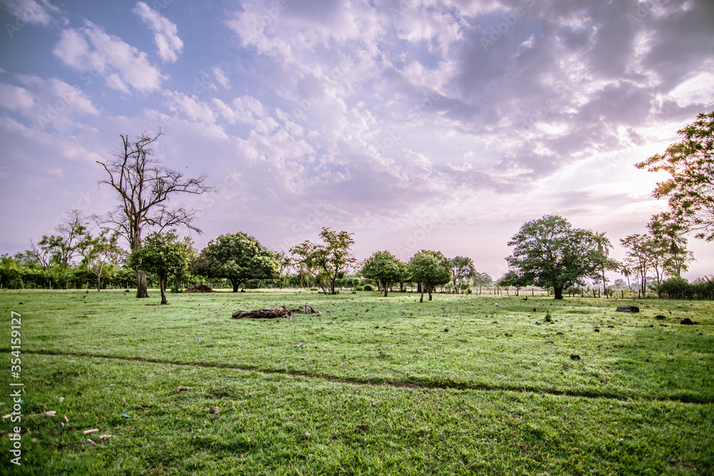 paisaje campestre