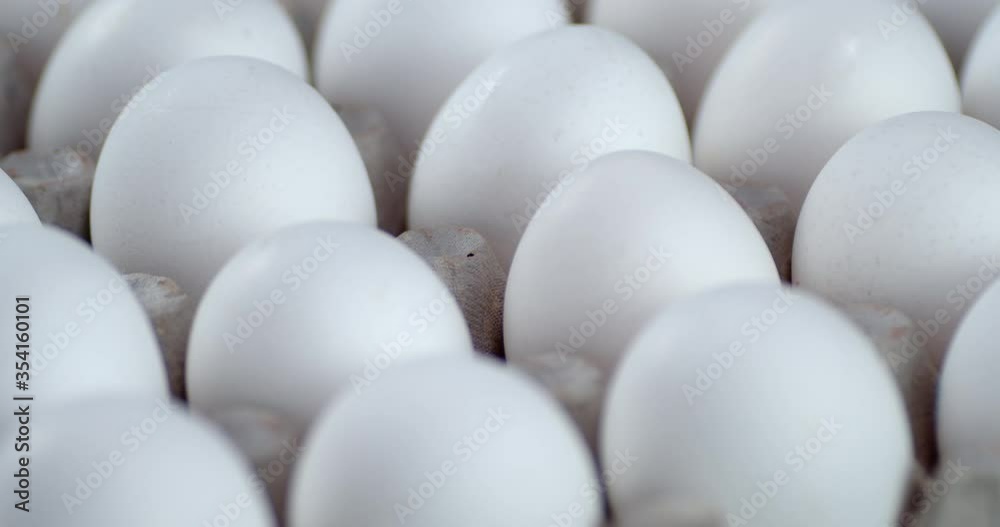 White of a raw egg in the cassette rotate slowly. White of a raw egg in the cassette rotate slowly.