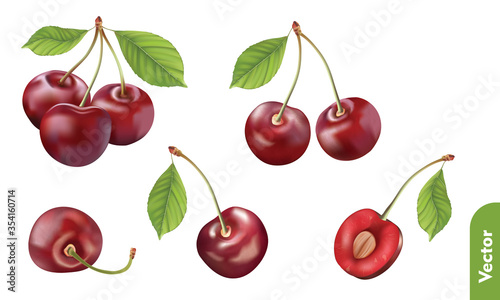 Set of fresh cherries with leaf, whole, double, group and half on isolated background. 3d realistic vector illustration of berries.
