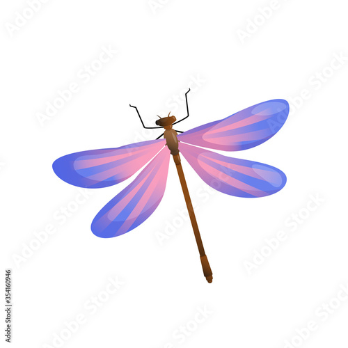 Bright color dragonfly insect isolated on white.