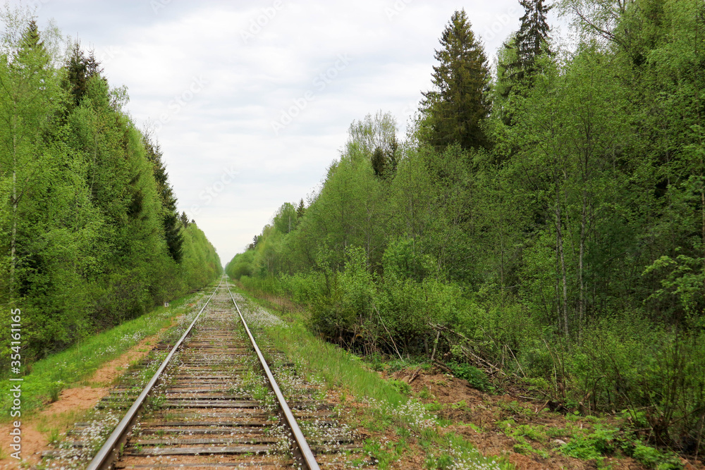 Obraz premium abandoned railway in the forest overgrown with small blue and white flowers