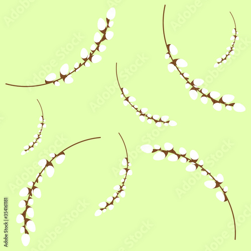 Pussy willow twigs on pastel background