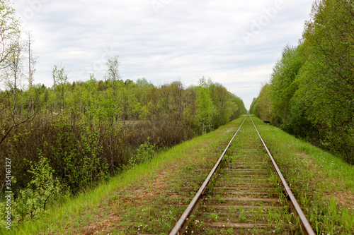 spring landscape with abandoned railway in the forest overgrown with grass and flowers