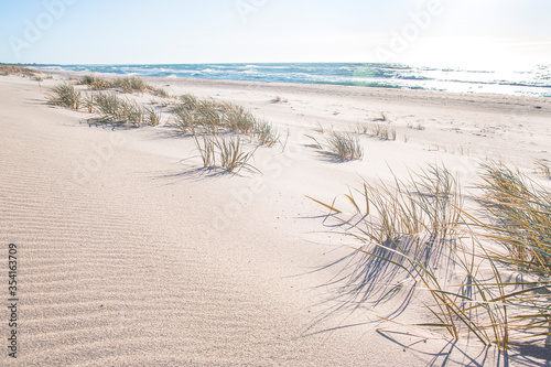 Słoneczna złota plaża wydmy w Polsce 